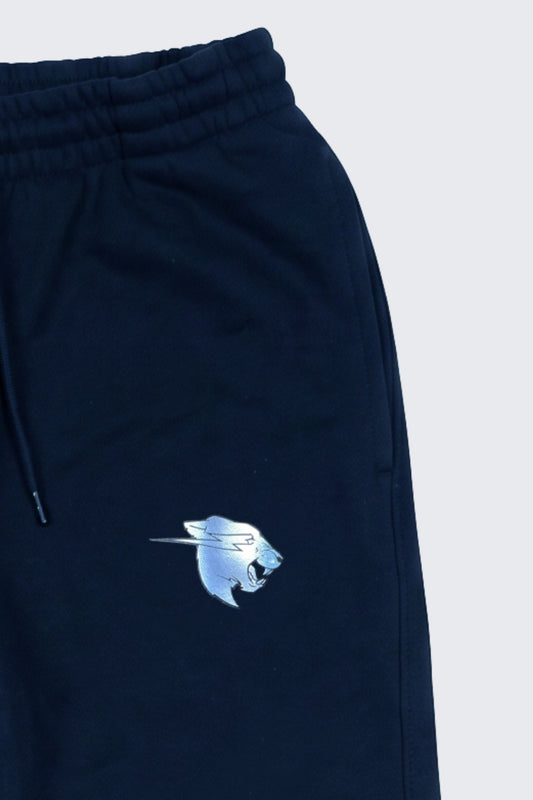 Beast Surge Sweat Joggers