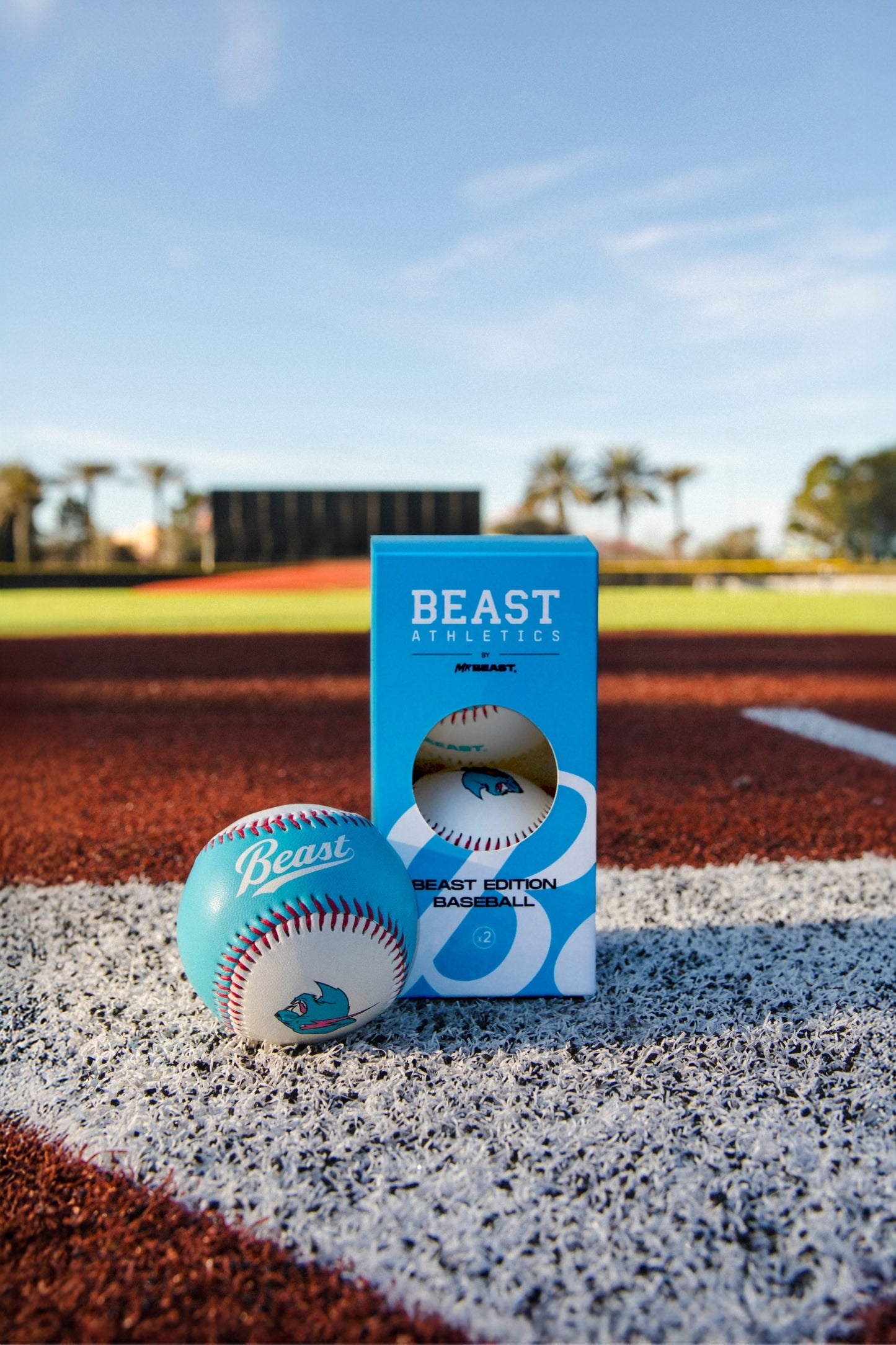 Beast Edition Plate Tee + 2 Pack Baseballs Bundle - Gray