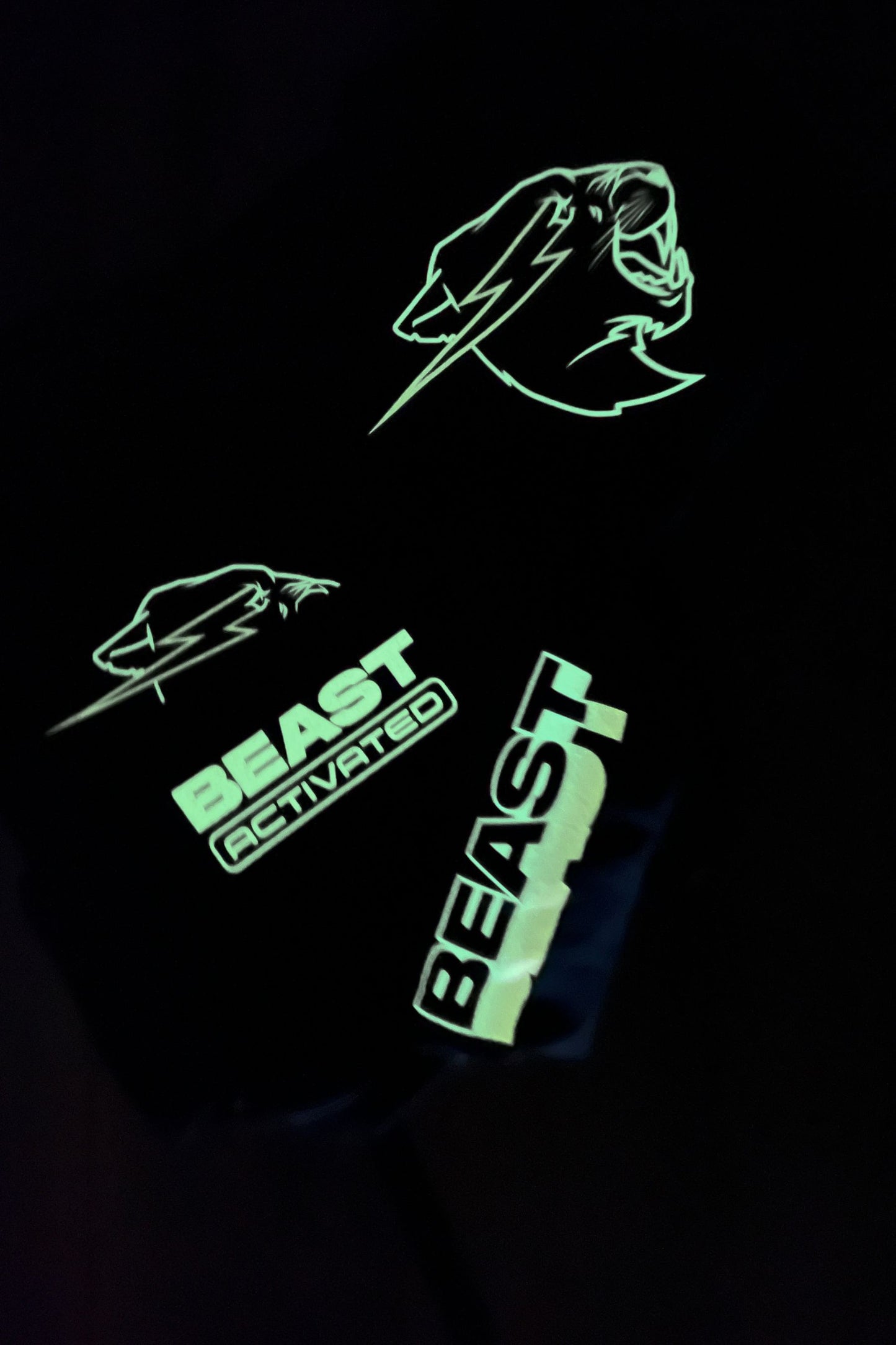 Glow In The Dark Beast Activated Backpack