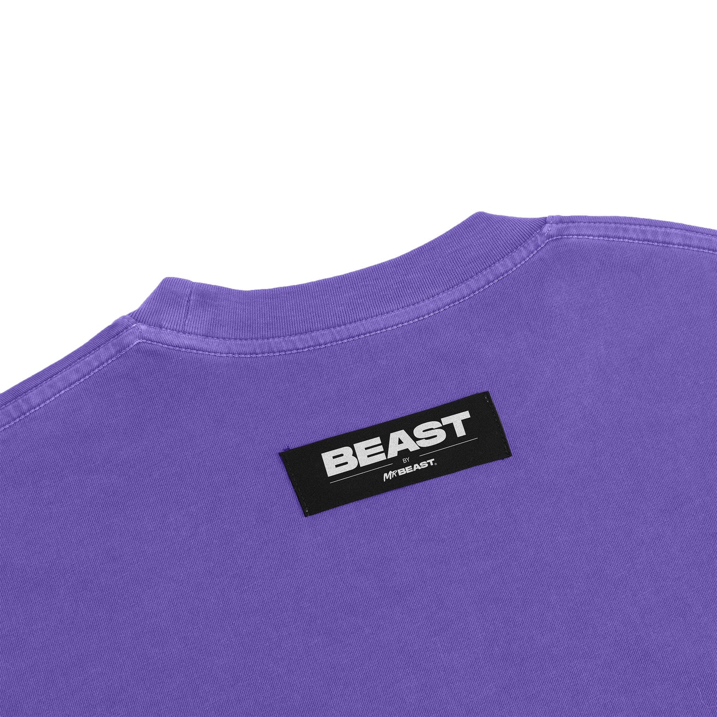 DOLLAR BILL SS TEE - PURPLE PIGMENT DYE