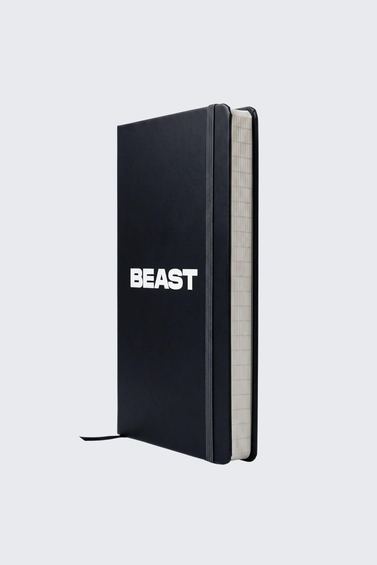 Beast Originals Notebook