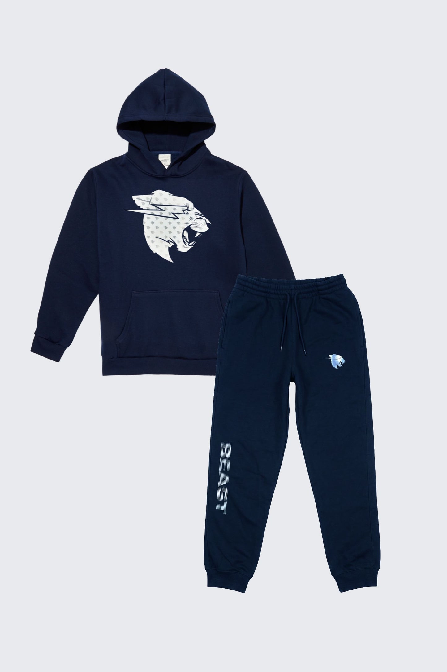 Beast Sweat Jogger and Holographic Hoodie Set