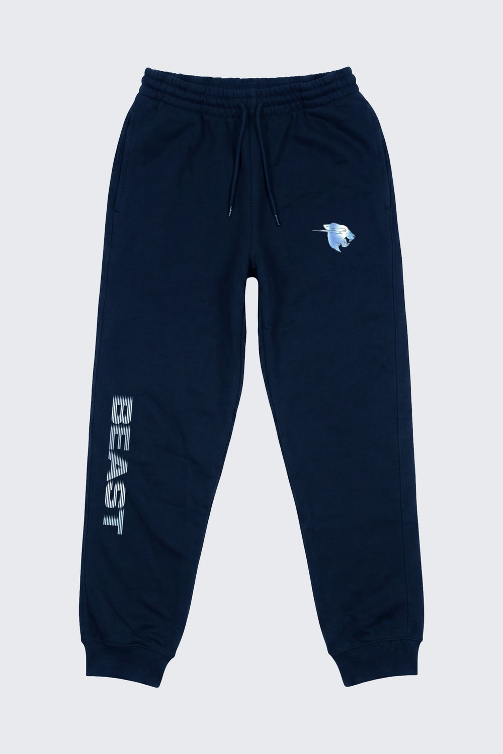 Beast Surge Sweat Joggers