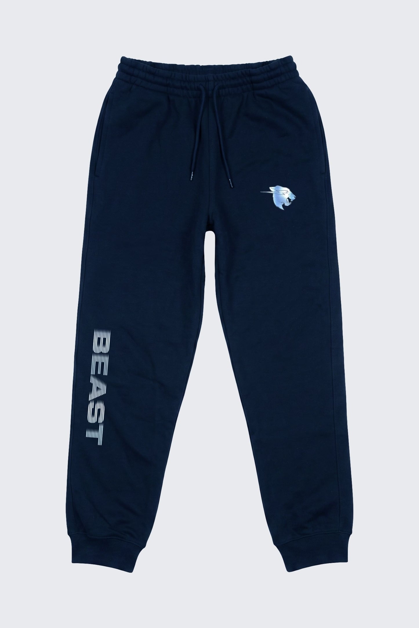 Beast Surge Sweat Joggers