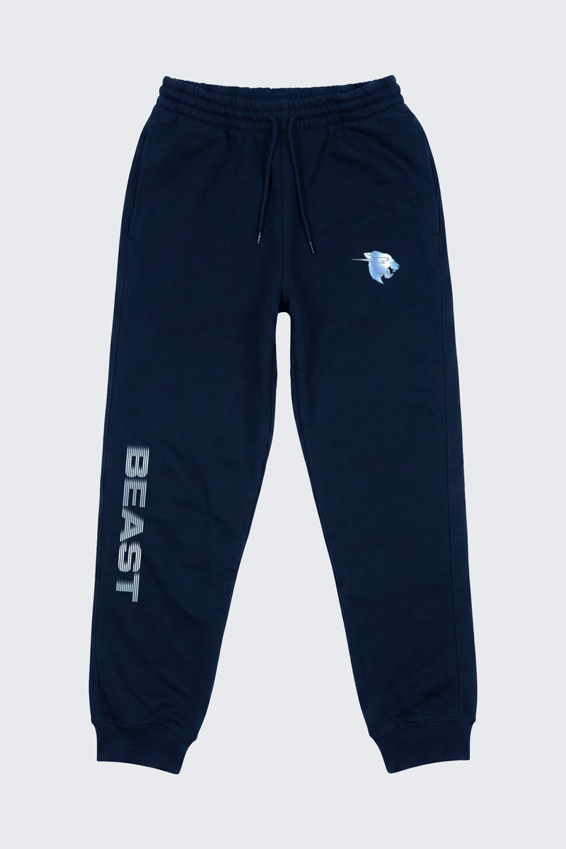 Beast Surge Sweat Joggers