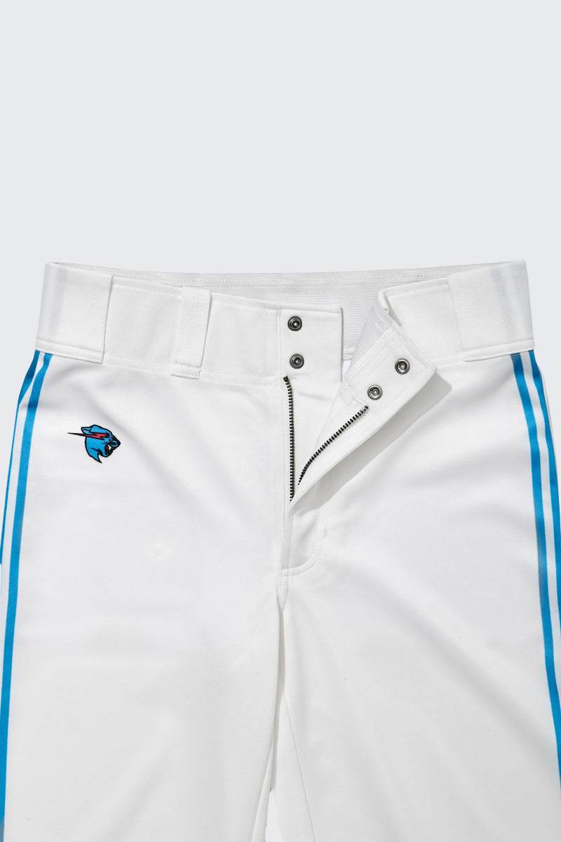 Pro Series Baseball Pants