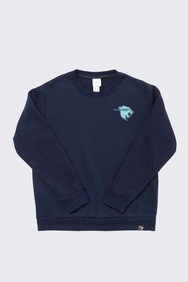 Make the World a Better Place Retro Crew Sweatshirt
