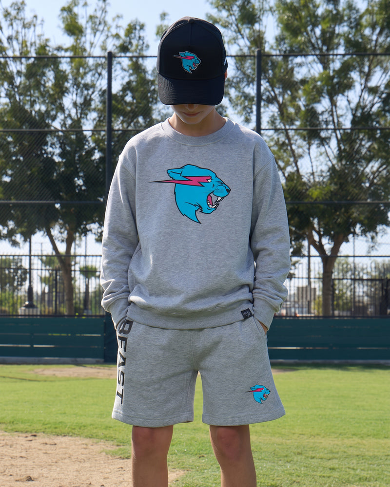 Beast Panther Sweat Set Bundle - Gray