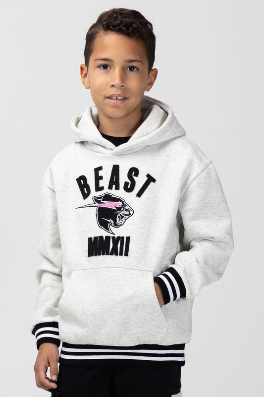 YOUTH  FRESHMAN 2.0 HOODIE - GREY