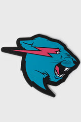 PANTHER COASTER