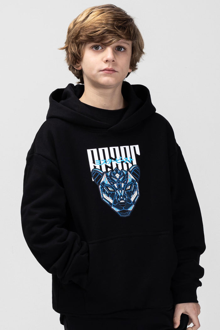スウェット Wasted Youth beats crewneck M Youth Blade Hoodie - Black – MrBeast.store