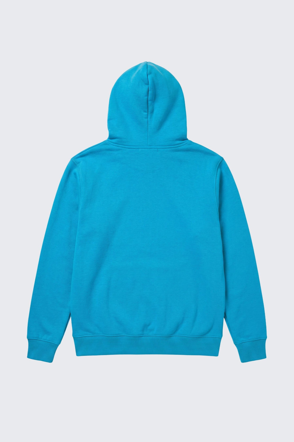 Collegiate Beast Hoodie