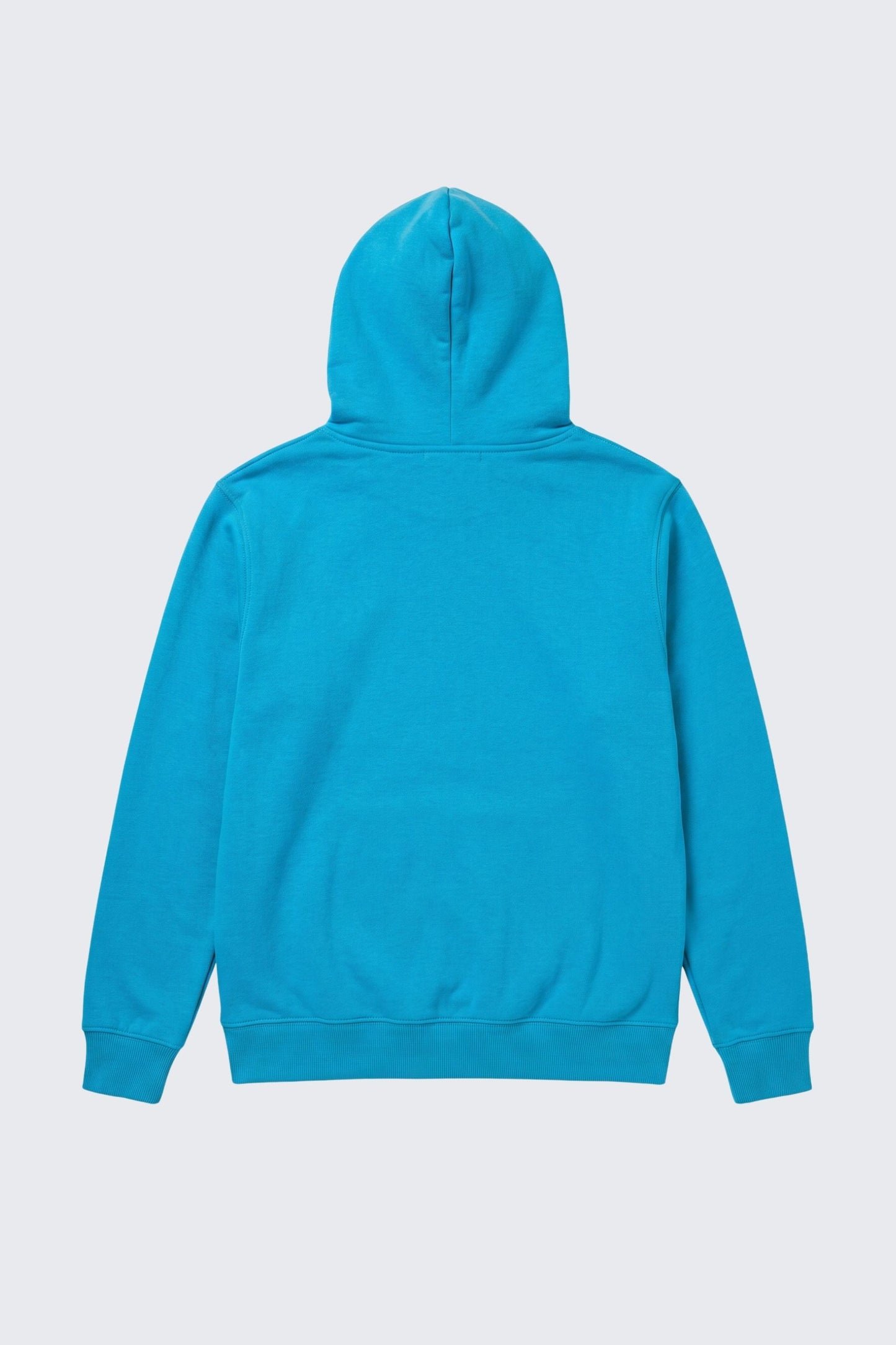 Collegiate Beast Hoodie