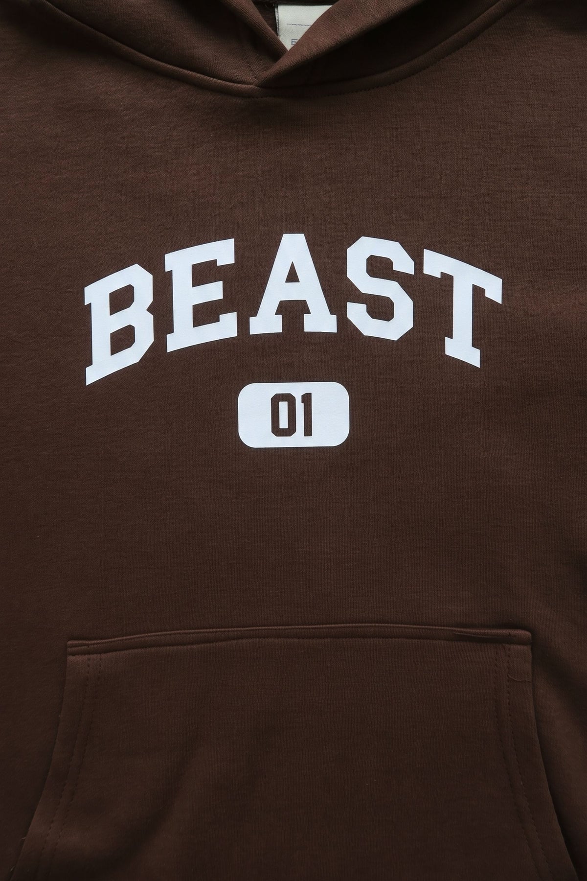 Collegiate Beast Hoodie
