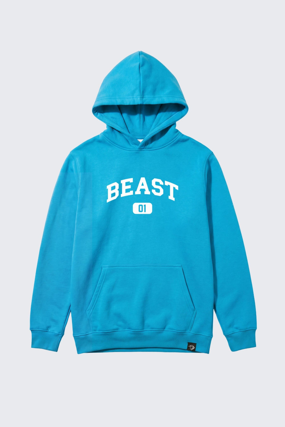 Collegiate Beast Hoodie