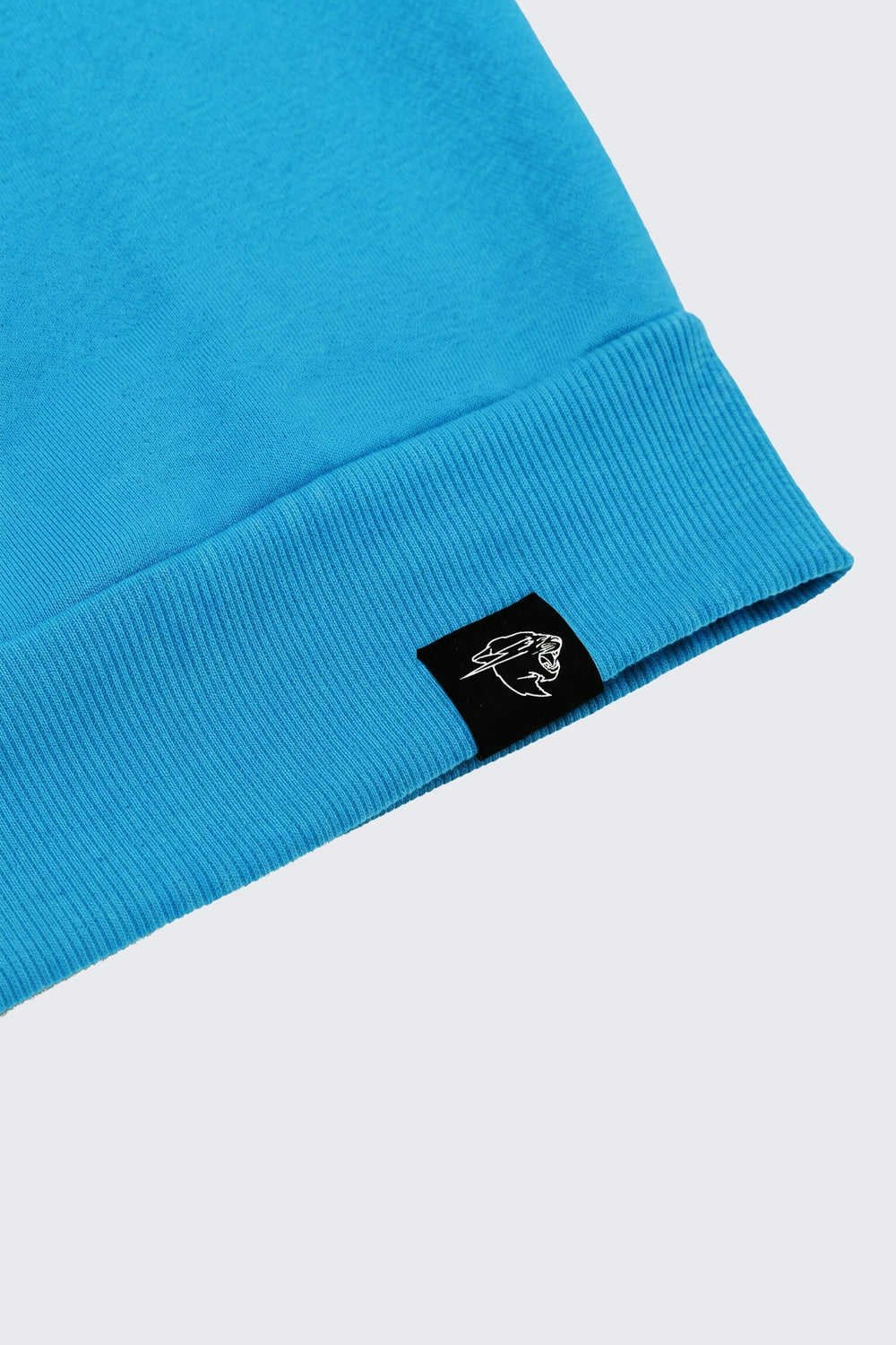 Collegiate Beast Hoodie