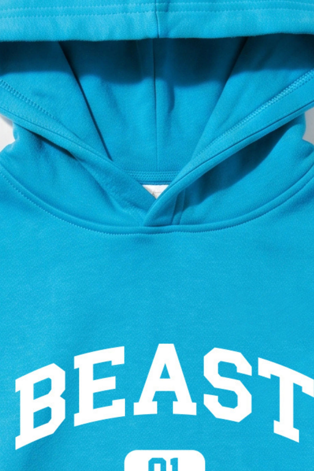 Collegiate Beast Hoodie