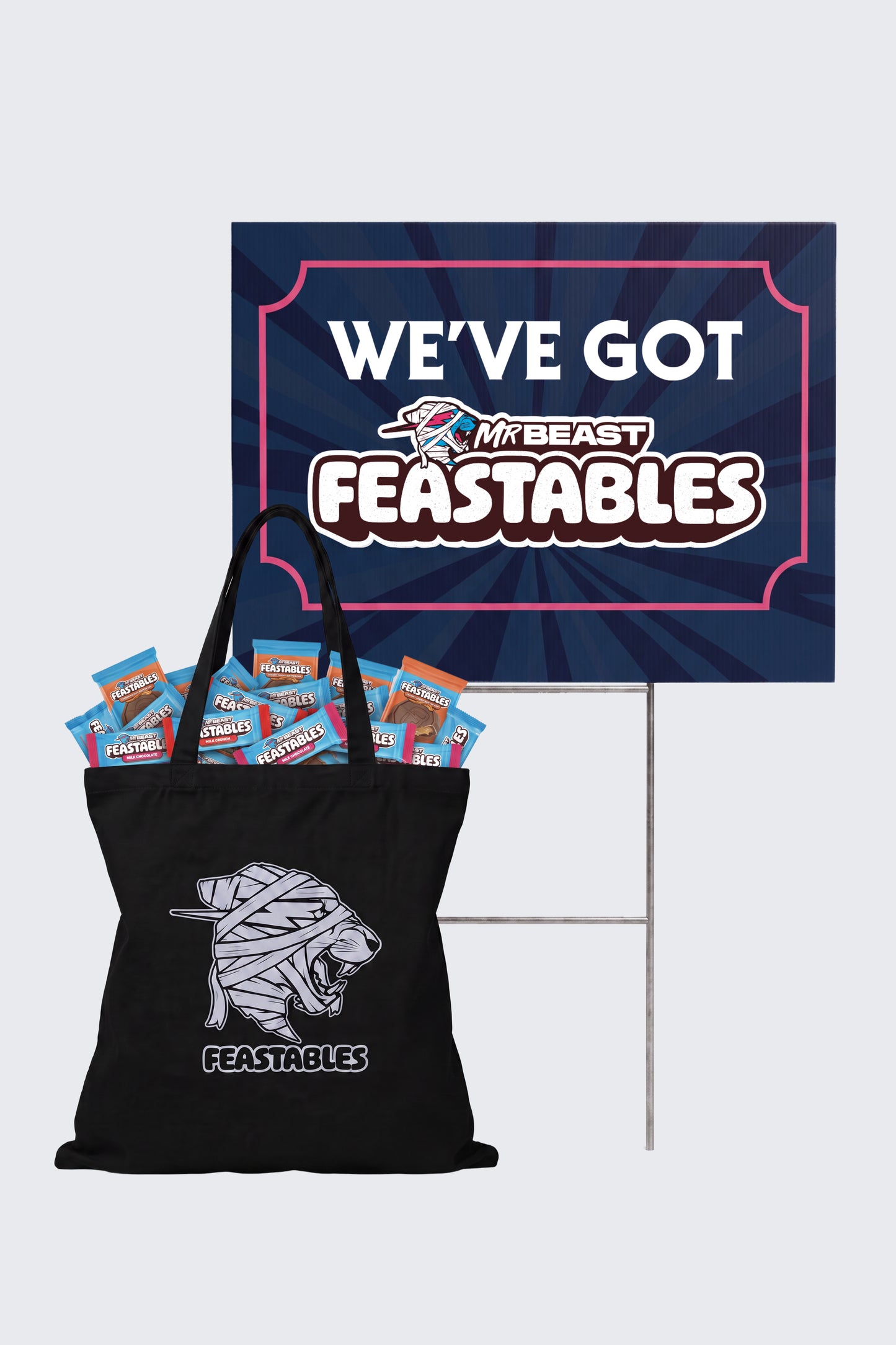 Feastables Chocolate Variety Bulk Box Bundle