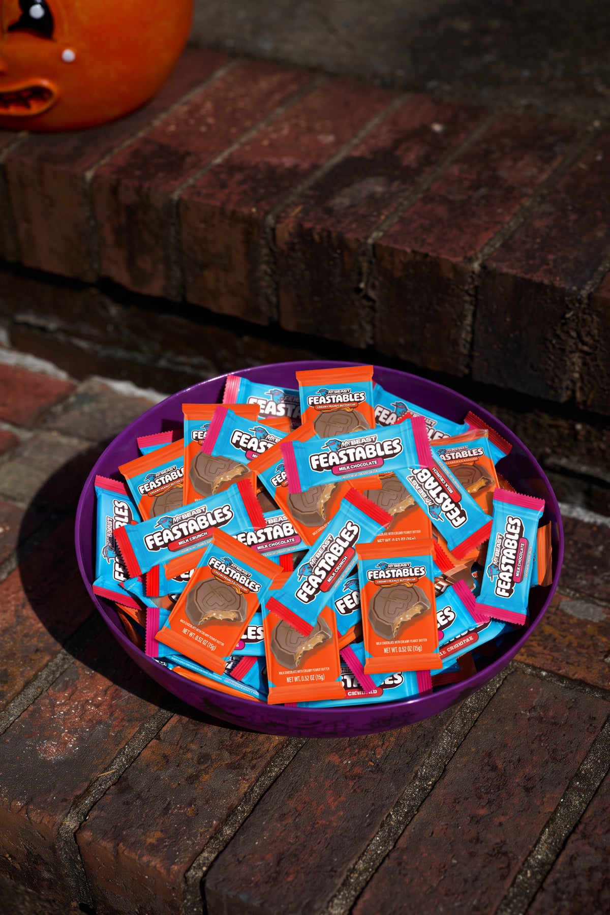 Feastables Chocolate Variety Bulk Box Bundle