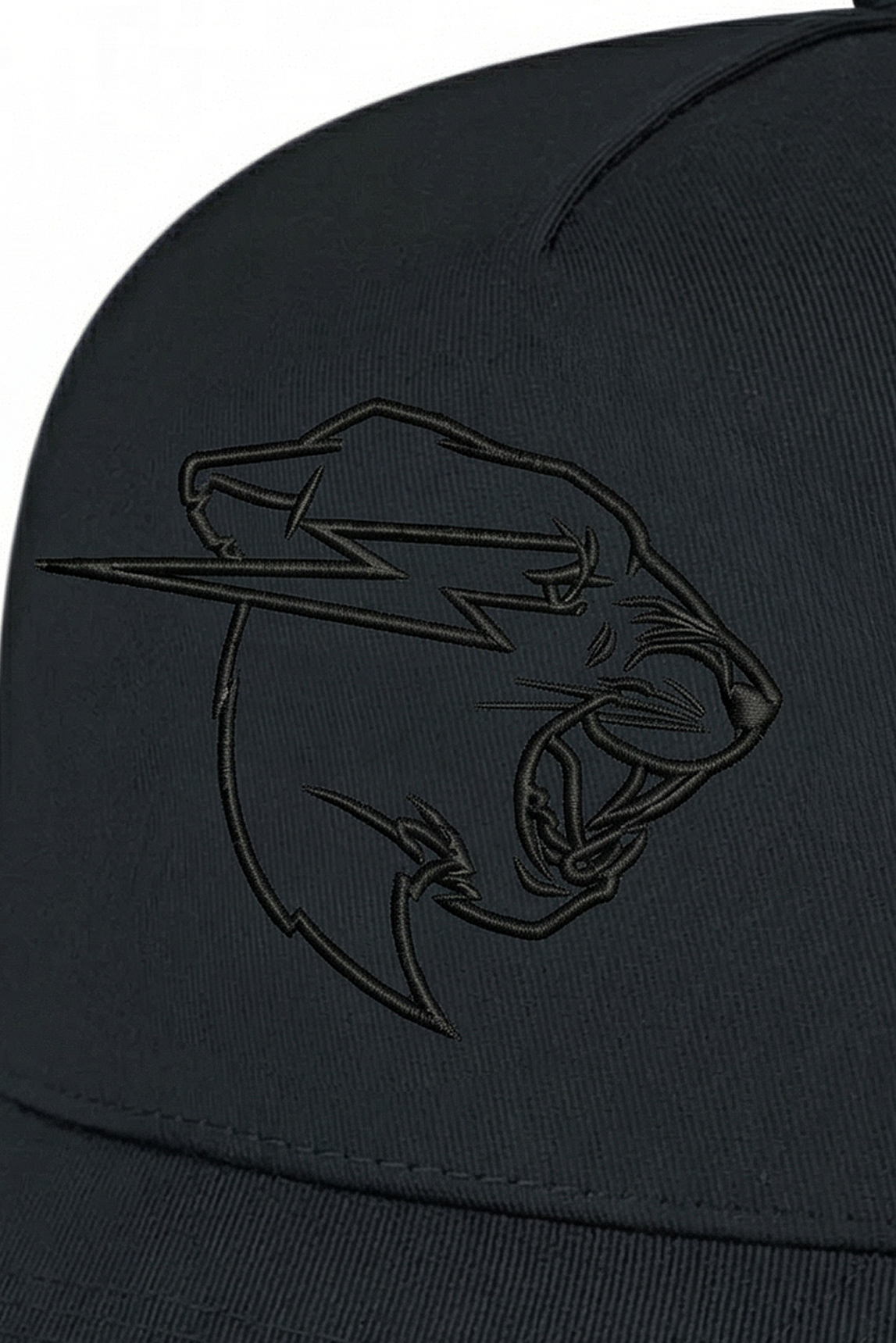 Stealth Panther Hat