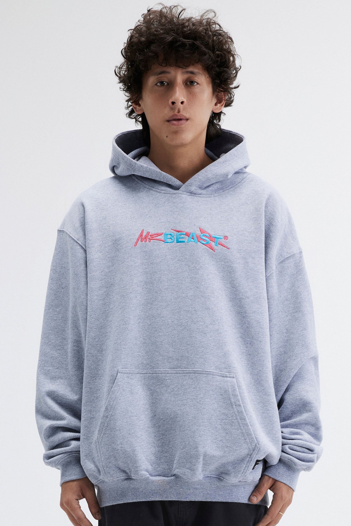 MRBEAST PRIVATE LABEL HOODIE - GREY